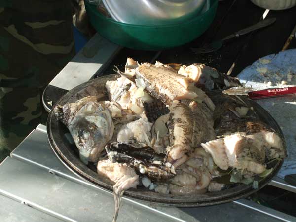 DSCF1232.jpg
