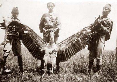 птичка.jpg