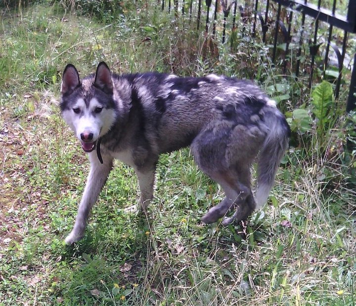 IMG_20140810_214538.JPG (225.72 КБ) 7284 просмотра IMG_20140810_214538.JPG