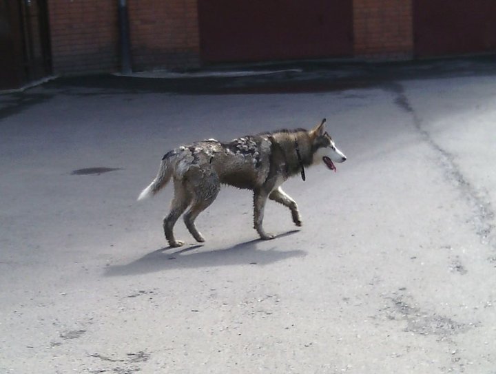 IMG_20140810_214624.JPG (68.4 КБ) 7284 просмотра IMG_20140810_214624.JPG