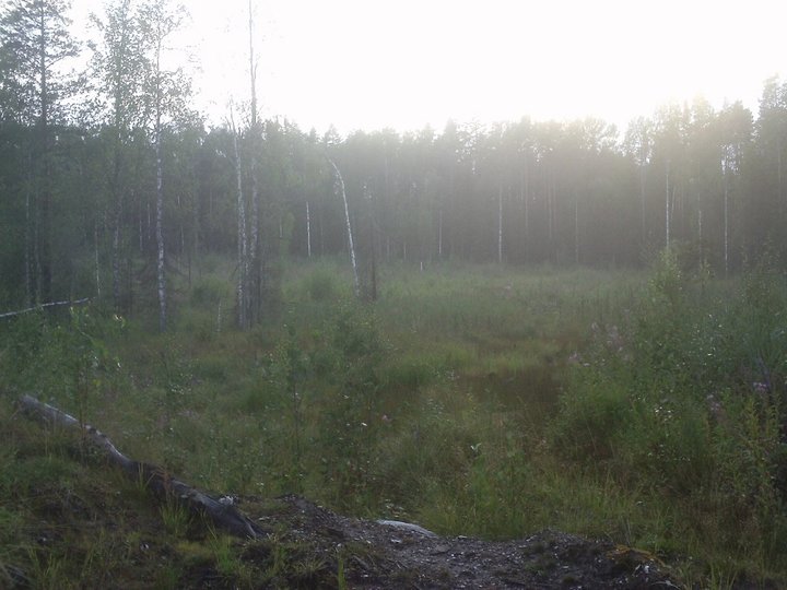 PIC_0081.JPG