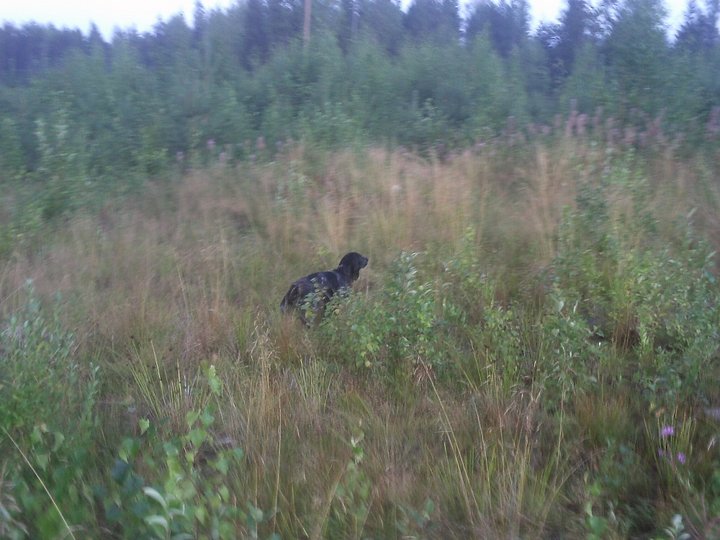 PIC_0090.JPG
