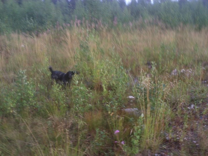 PIC_0091.JPG