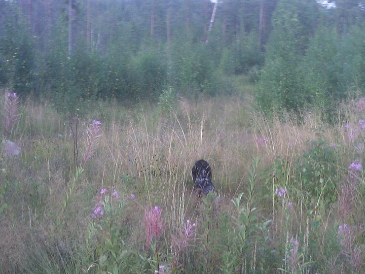 PIC_0097.JPG