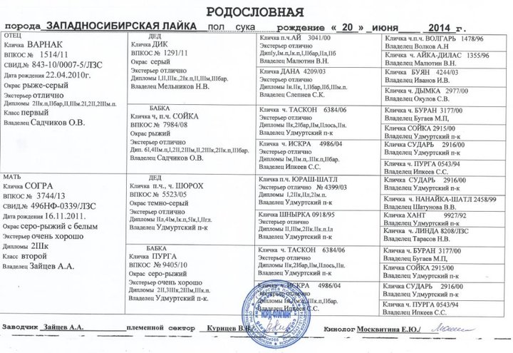 Rodoslovnaya.jpg