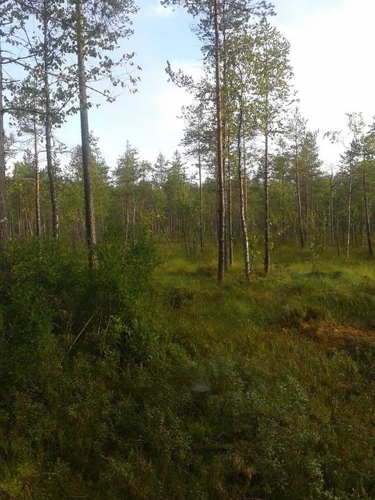 20140828_090133.jpg