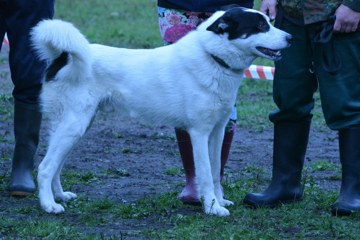 DSC_0299.JPG