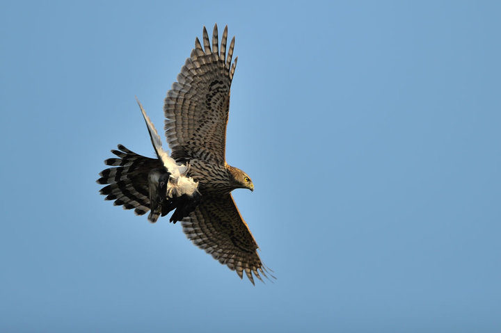 DSC_3155.jpg
