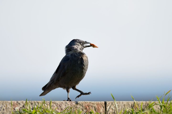 DSC_1755.jpg