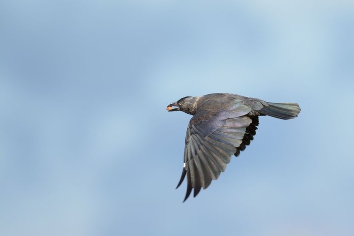 DSC_1863.jpg