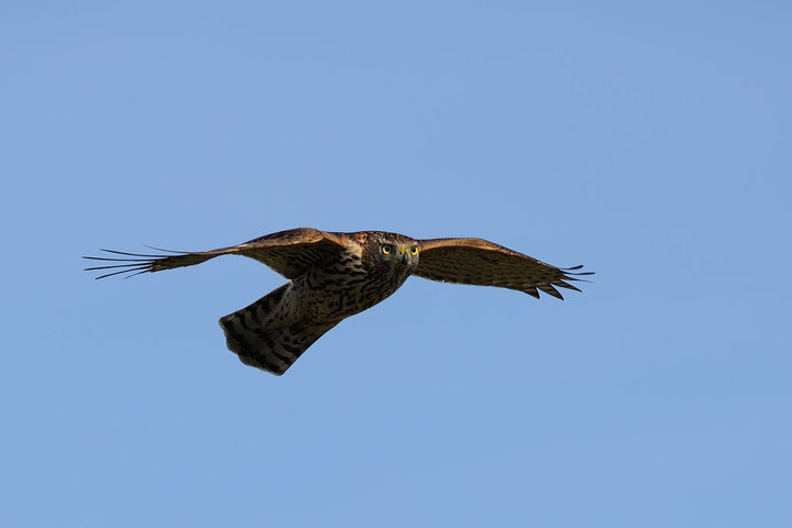 DSC_4224.jpg