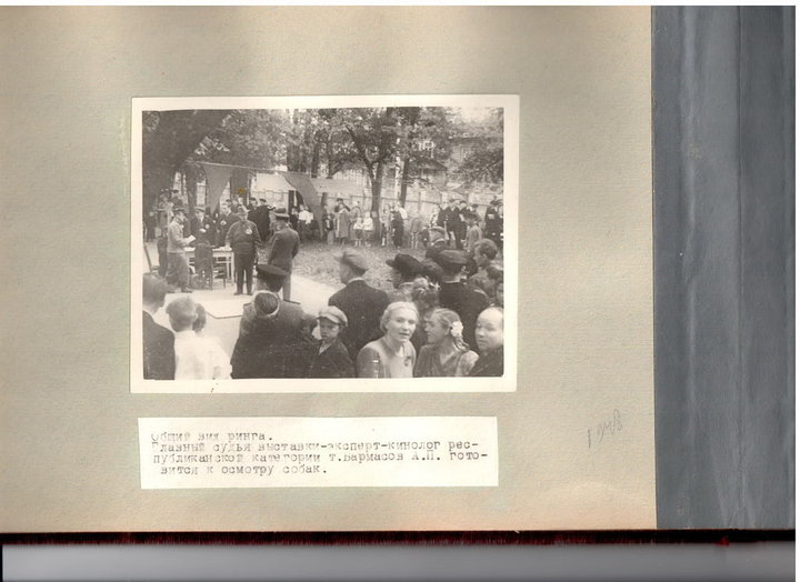 Scan6.jpg