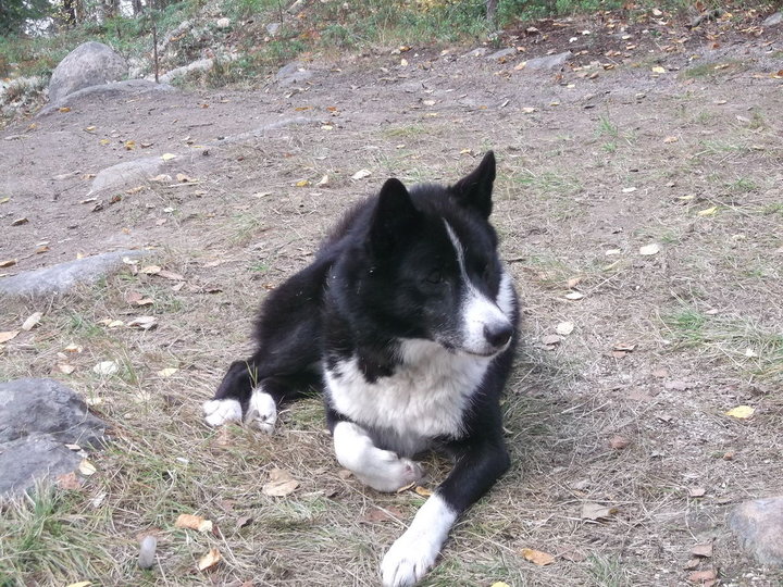 DSCF0642.jpg (266.7 КБ) 6460 просмотров DSCF0642.jpg