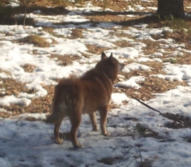 20140302_125747.jpg