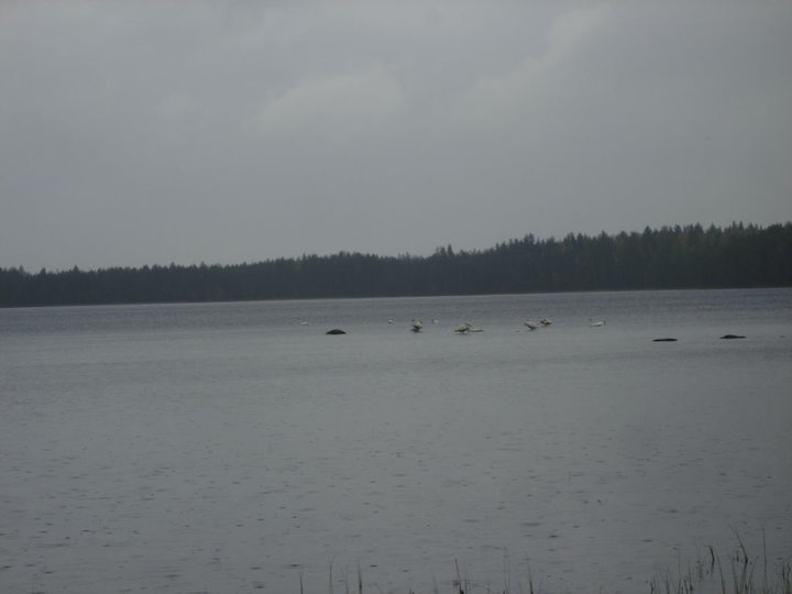 DSC08086.JPG