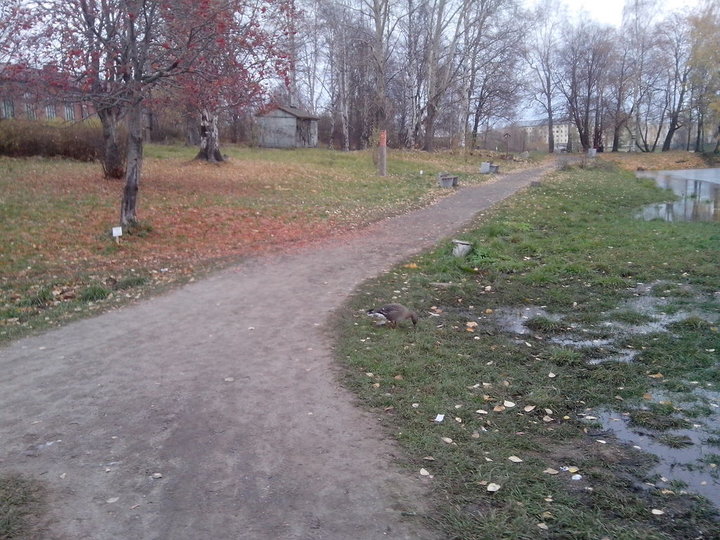 IMG_20141019_170119.jpg