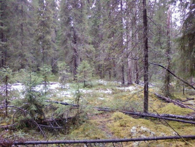 photo0178.jpg
