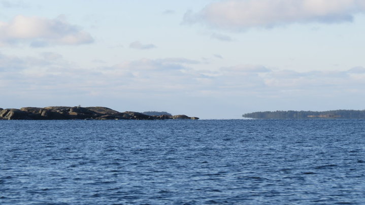 IMG_2872.JPG