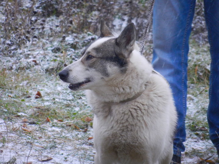 DSCN3903.JPG