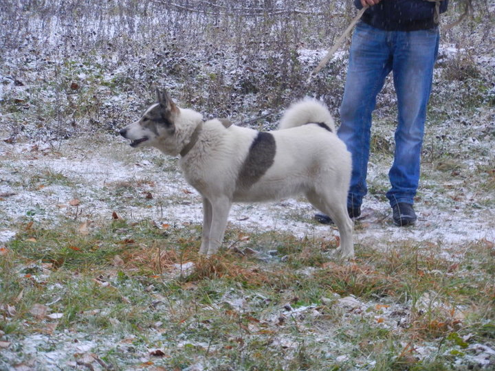 DSCN3906.JPG