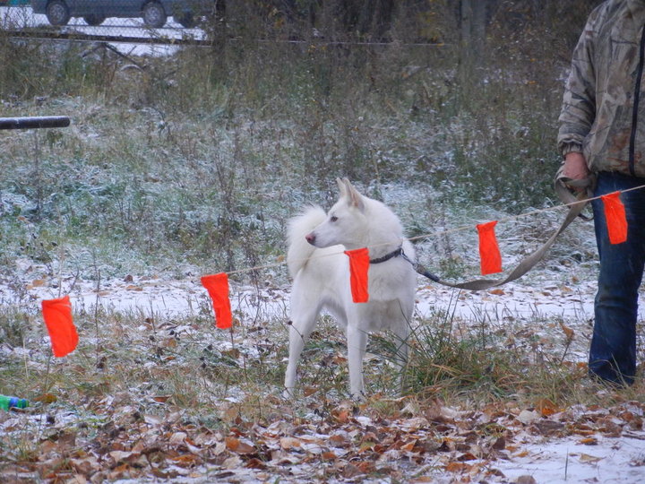 DSCN3881.JPG