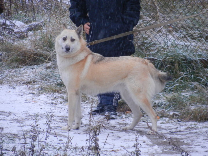 DSCN3897.JPG