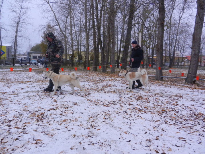 DSCN3919.JPG