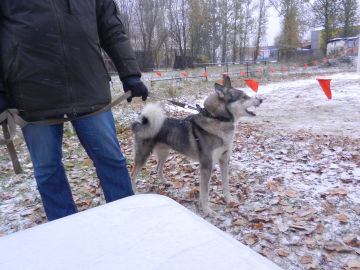 DSCN3931.JPG