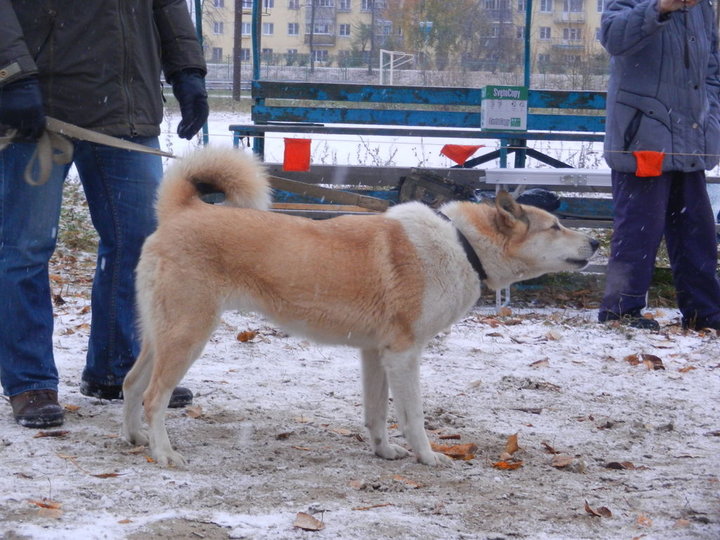 DSCN3935.JPG