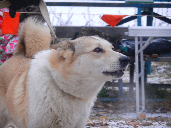DSCN3940.JPG