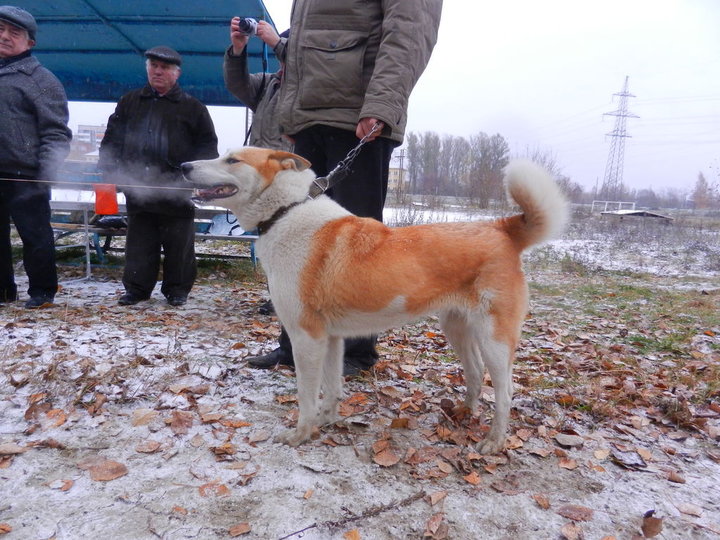 DSCN3950.JPG