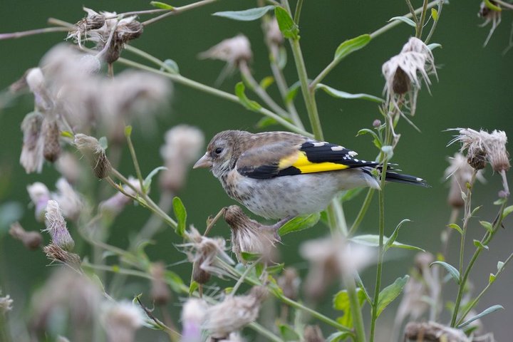 DSC_9282.jpg