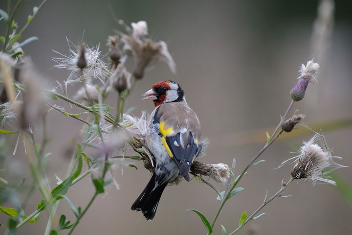 DSC_9278.jpg