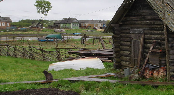 DSC01013.jpg