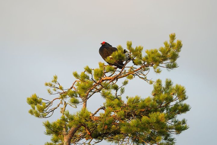 DSC_1178.jpg