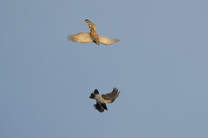 DSC_5162.jpg