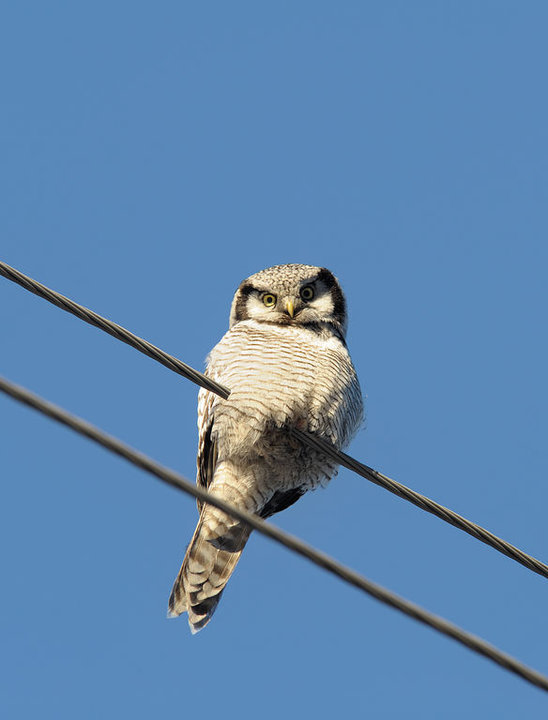 DSC_3881.jpg