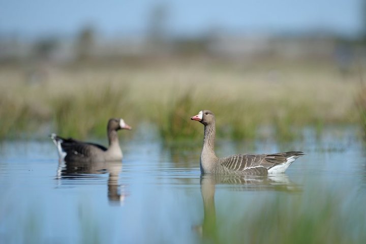 DSC_3025.jpg