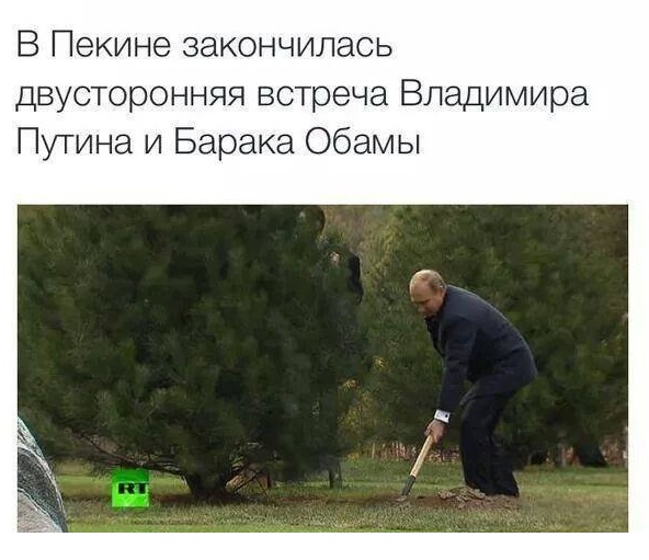 4254140.jpg
