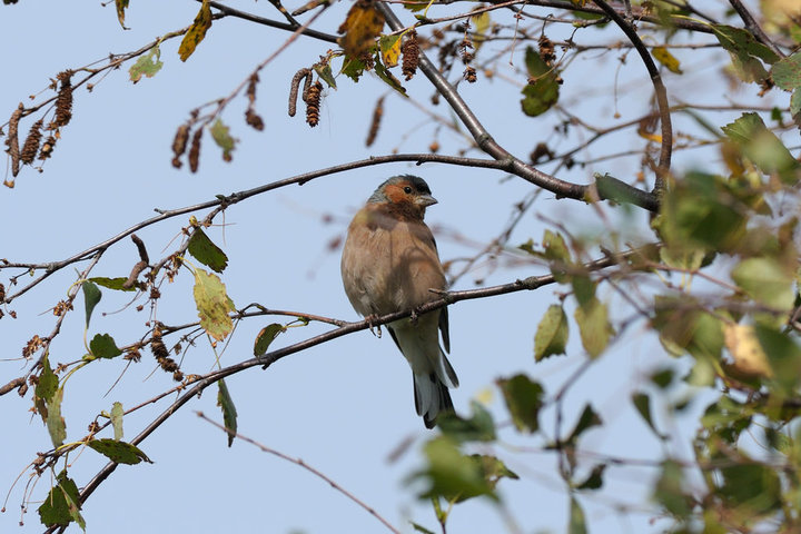 DSC_6727.jpg