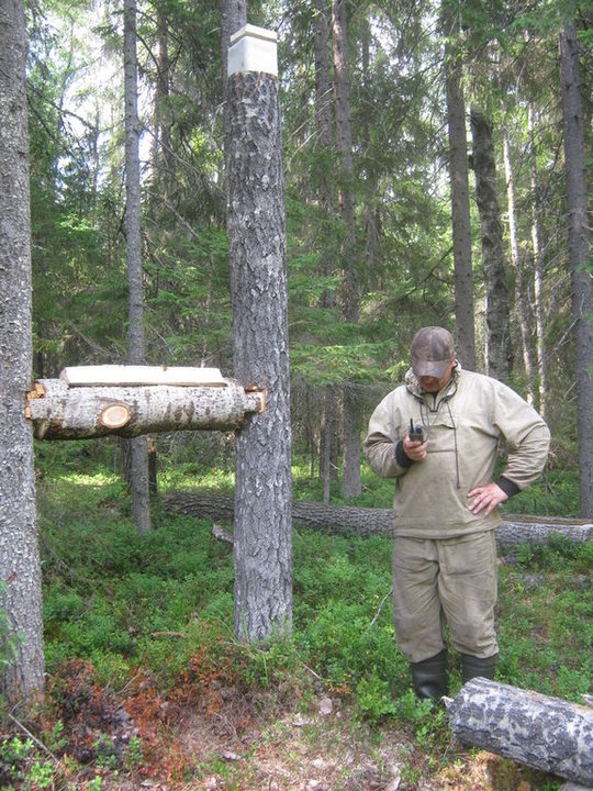 228598t.jpg (145.91 КБ) 3430 просмотров 228598t.jpg