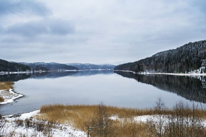 KMK_9388-4.jpg
