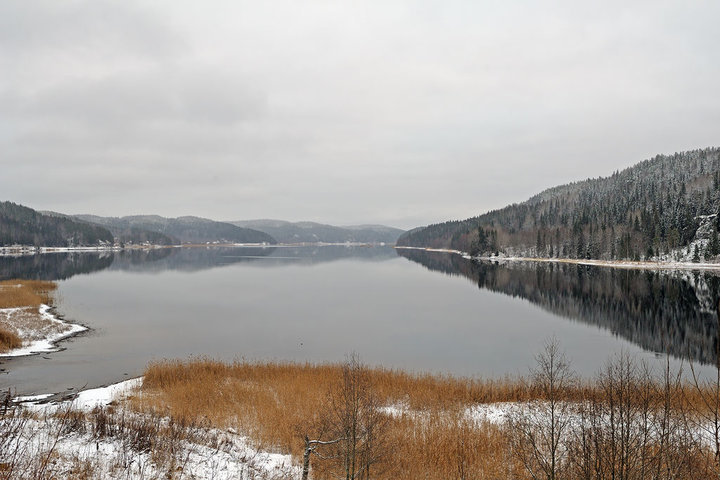 KMK_9388.jpg