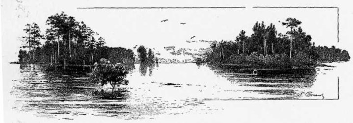 image005.jpg