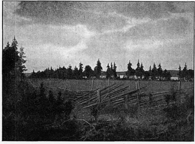image091.jpg