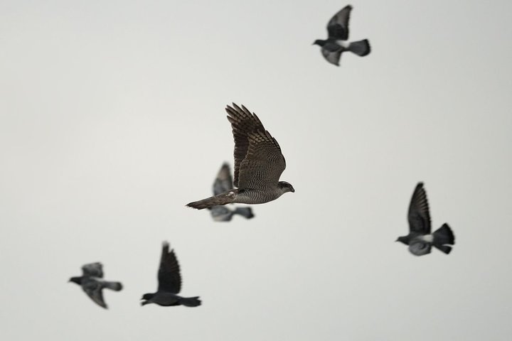 KMK_0535-1.jpg