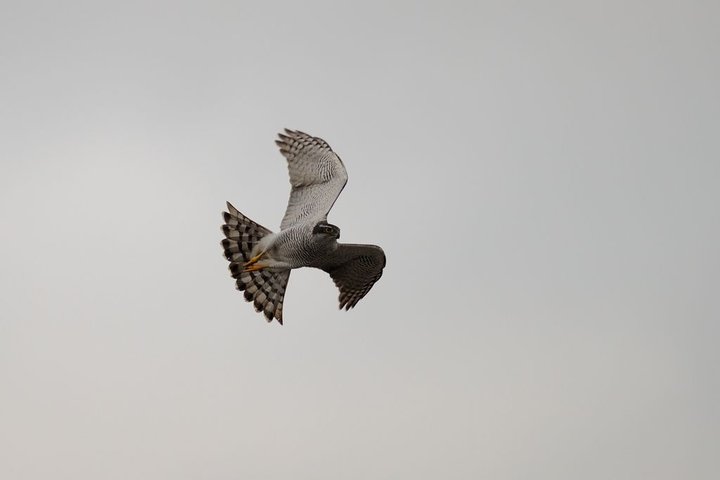 KMK_0530-1.jpg