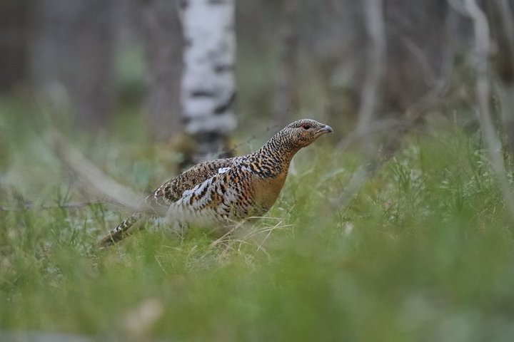 DSC_7815.jpg