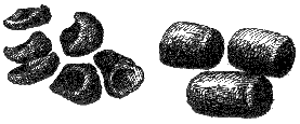 risfor81.gif
