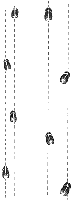 risfor83.gif
